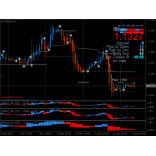 Dynamic Trading System  (100 pips plus per day)